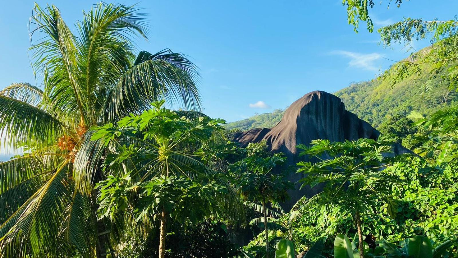Josies Cottage Beau Vallon (Mahe) Exterior foto
